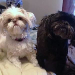 Meet your Posher, Kim